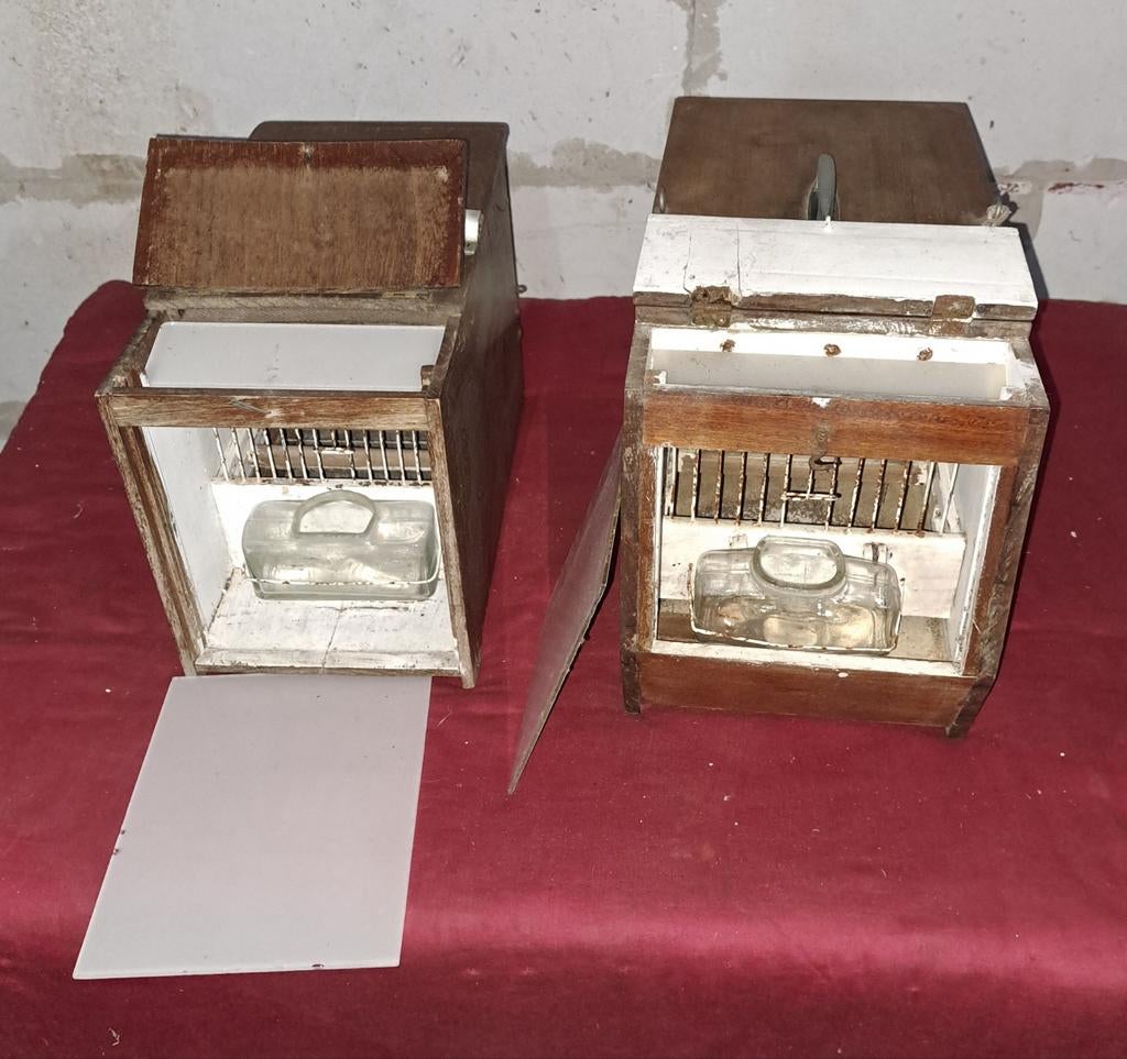 Vogelkooi oude Vogelkooien decoratie, Enlèvement