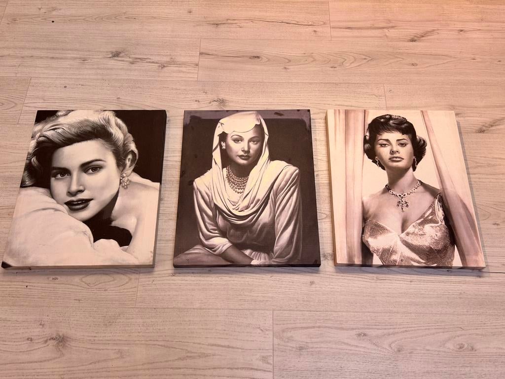 3  canvas  Grace Kelly Sophia Loren, Ophalen, Zo goed als nieuw