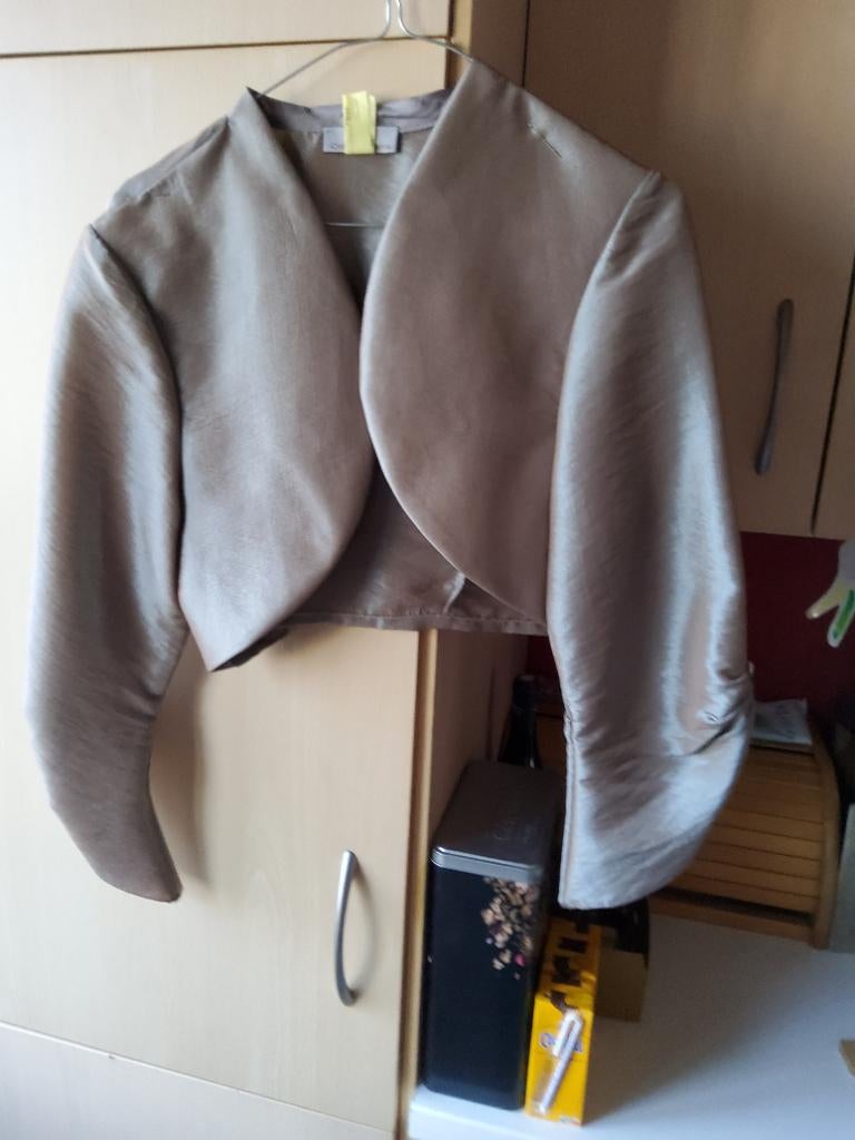 Robe de cérémonie, Vêtements | Femmes, Autre, Taille 46/48 (XL) ou plus grande, Autres couleurs, Robe de cocktail