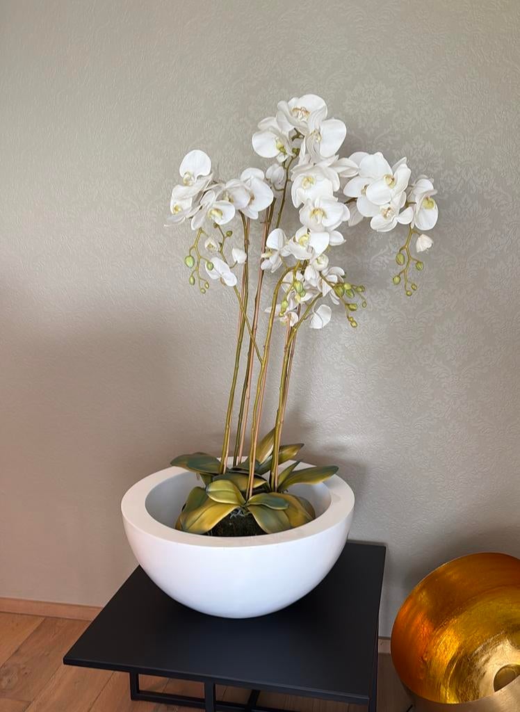 Joli pot avec une orchidée artificielle réaliste, Enlèvement, Comme neuf, Intérieur
