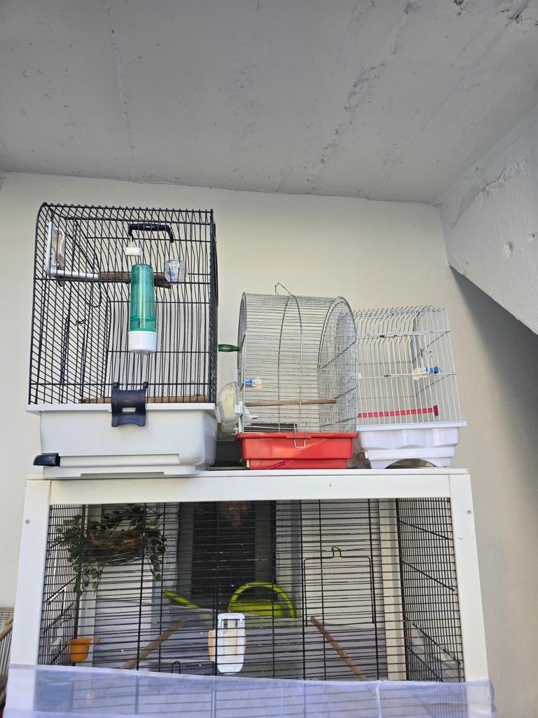 3 cages a vendre, Animaux & Accessoires