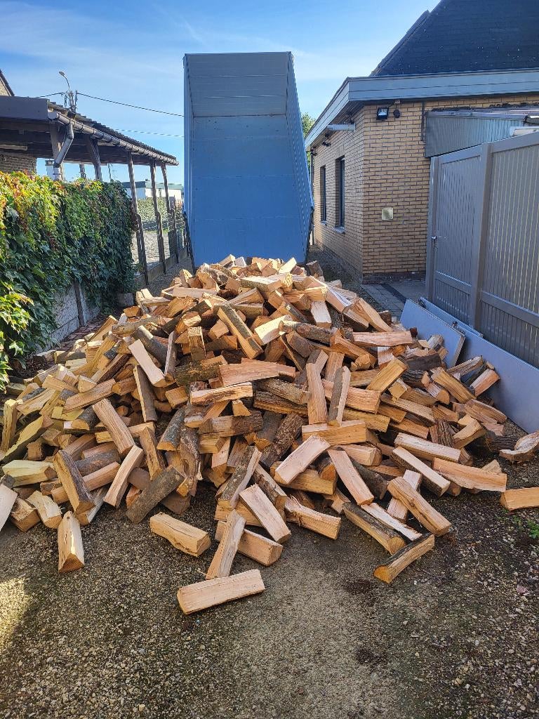 droog en halfdroog brandhout eik beuk es, Tuin en Terras, 3 tot 6 m³, Ophalen, Beukenhout, Blokken