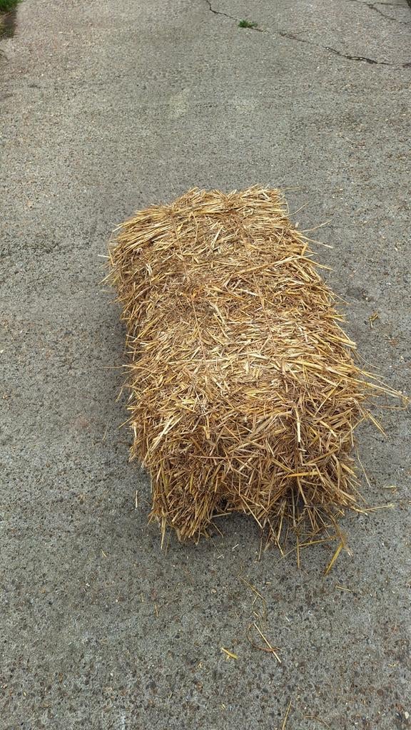 Kleine pakken stro, Dieren en Toebehoren, Dierenvoeding, Ophalen