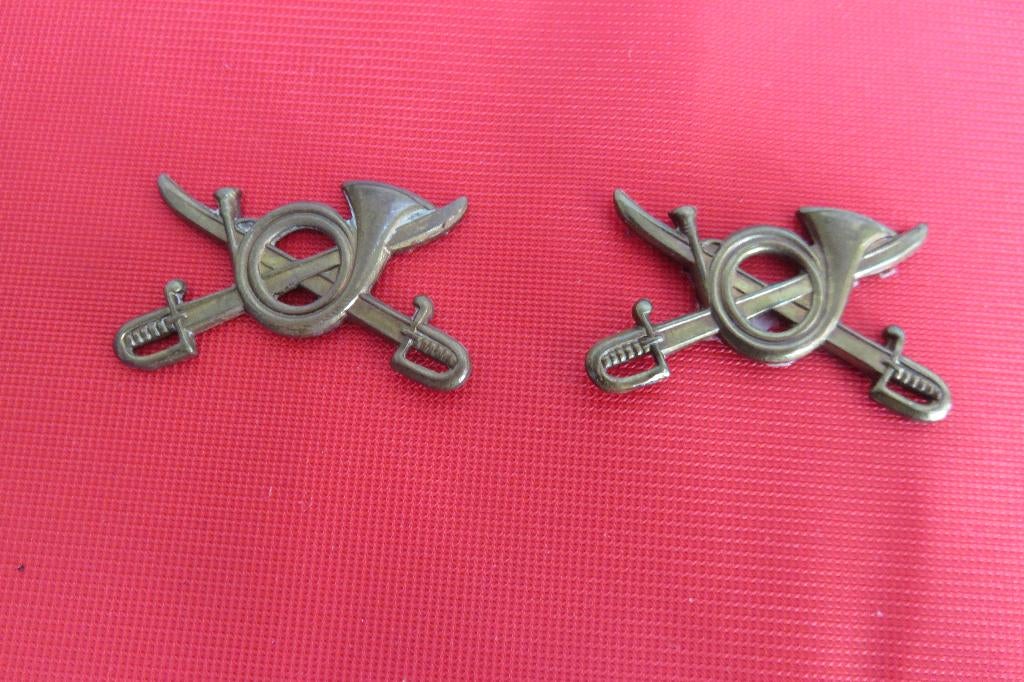 Insigne d'épaulettes Chasseurs à Cheval, Collections, Enlèvement ou Envoi, Armée de terre, Emblème ou Badge
