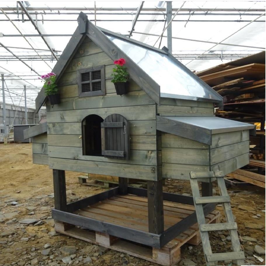 KIPPENHOK KOOPDAG NIEUW, Dieren en Toebehoren, Ophalen