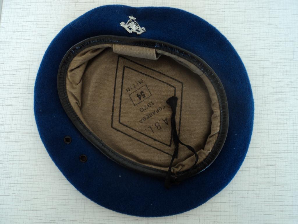 Muts+ kenteken van Licht VVliegwezen O/Of, Verzamelen, Militaria | Algemeen, Ophalen of Verzenden, Luchtmacht