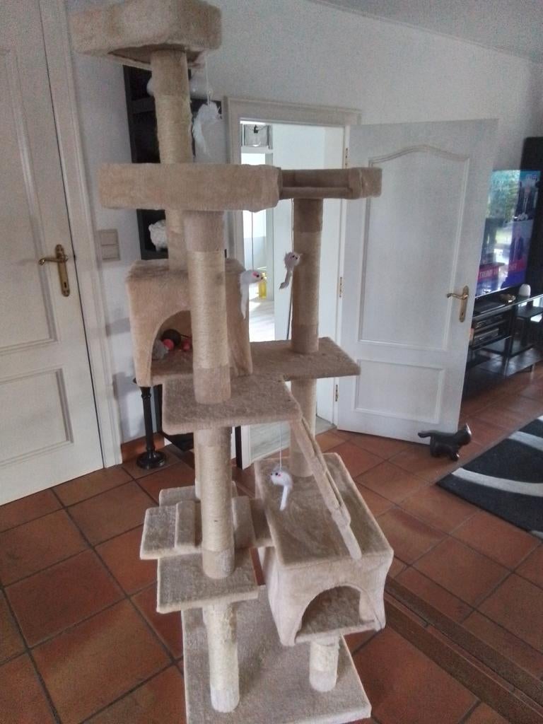 Krabpaal hoogte 170cm, voet 50x50cm, Ophalen