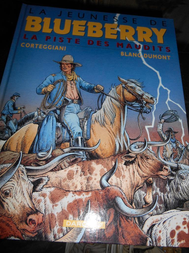 La jeunesse de Blueberry 11 eo, Livres, BD, Enlèvement ou Envoi