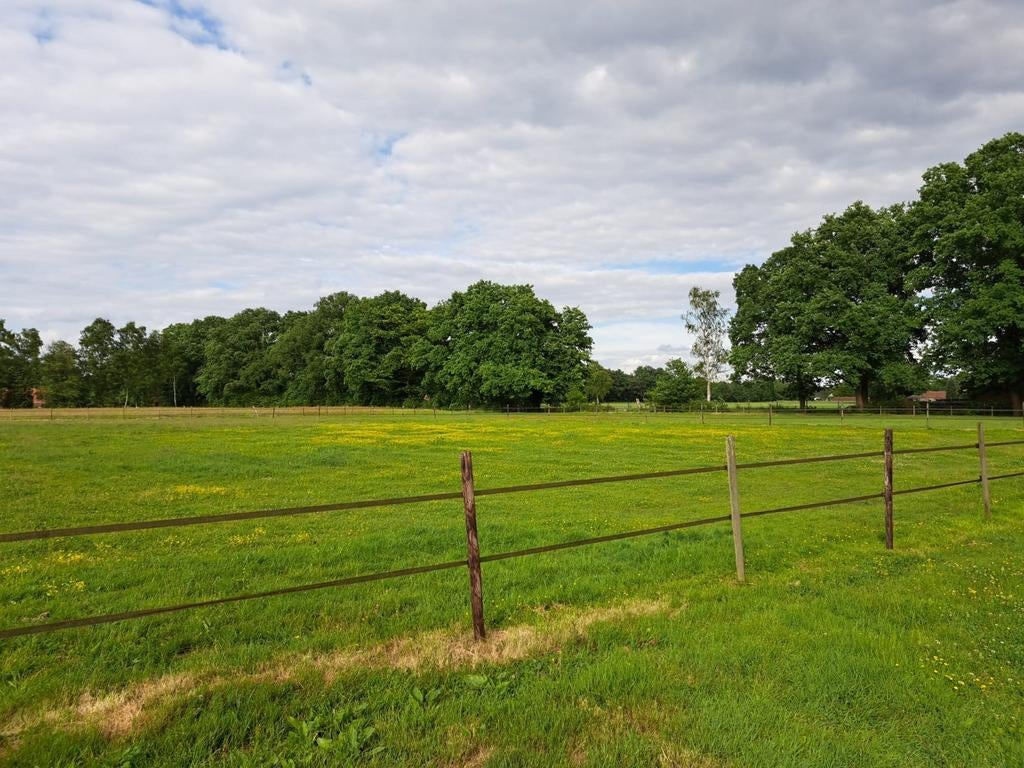 Te huur 2.2ha weide met 5 paardenstallen  met piste 4060m, Dieren en Toebehoren, Stalling en Weidegang
