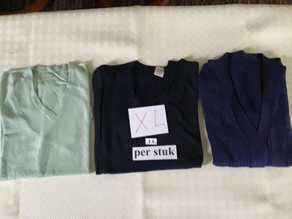 3 dames truien XL aan slechts 1 euro per trui, Kleding | Dames, Ophalen of Verzenden, Zo goed als nieuw, Maat 46/48 (XL) of groter