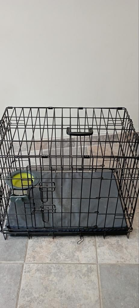 Chien de banc, Enlèvement