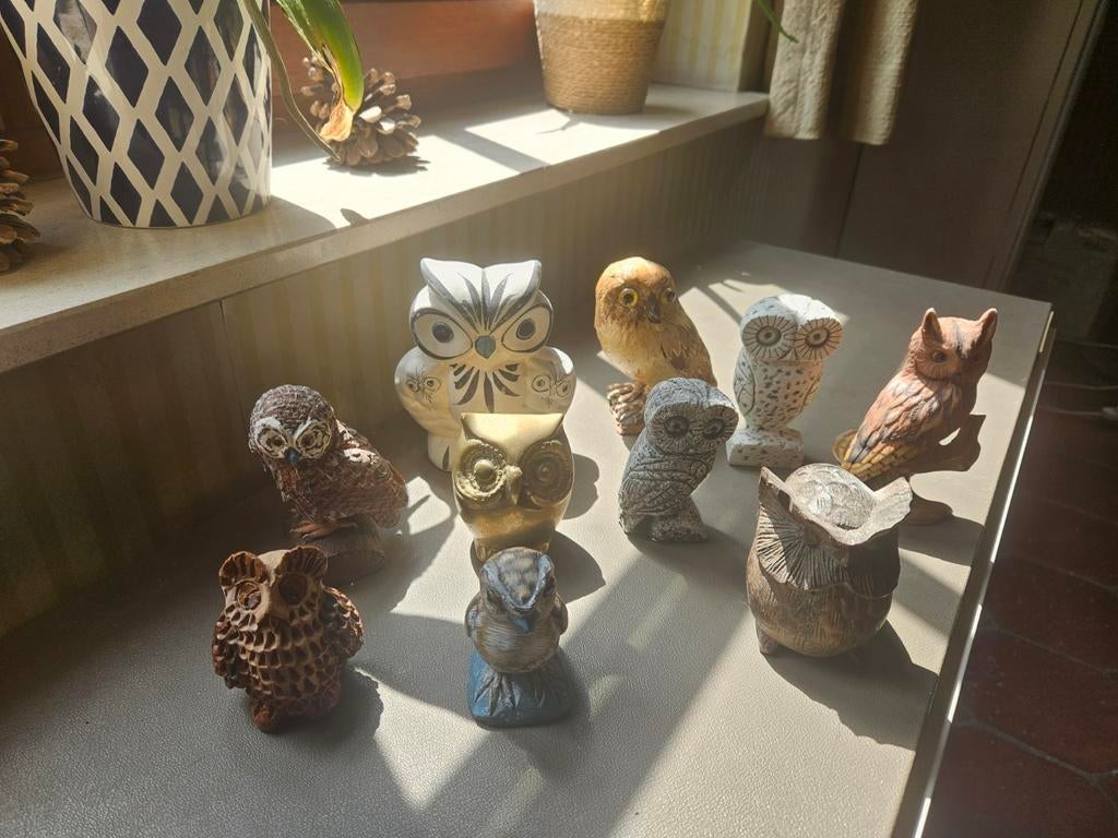 Lot van 10 speciale uilen, Ophalen of Verzenden