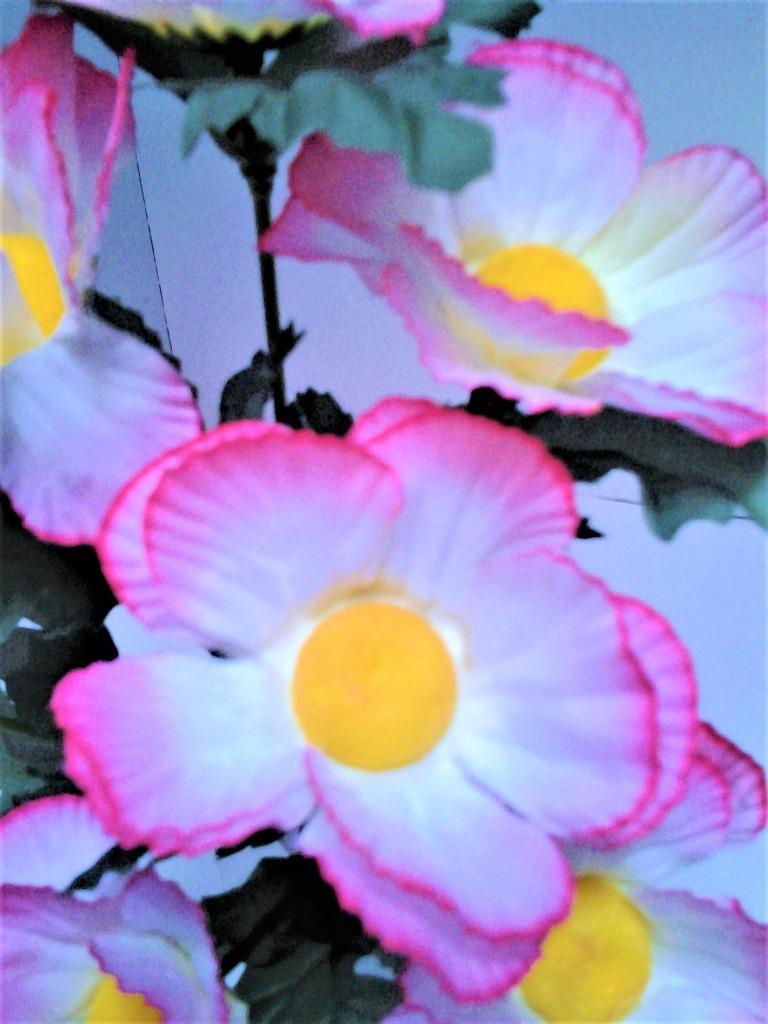 Zijden bloemen op een piketje - met 6 bloemen, Enlèvement, Neuf, Autres types