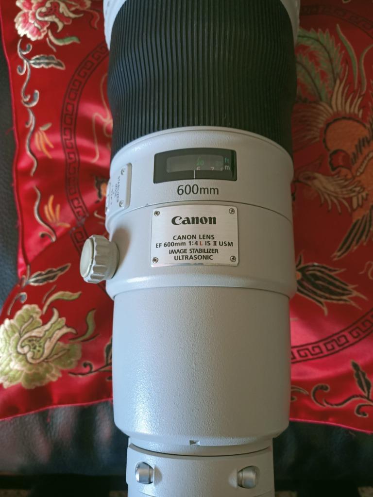 Canon EF 800mm 600mm IS II 500mm IS II 400mm 2.8 IS II 300mm, Audio, Tv en Foto, Foto | Lenzen en Objectieven, Ophalen of Verzenden