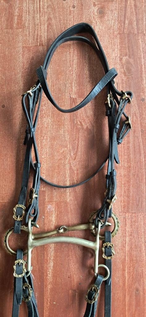 Bride ancienne 1900–1930, Animaux & Accessoires, Enlèvement ou Envoi, Utilisé, Dressage