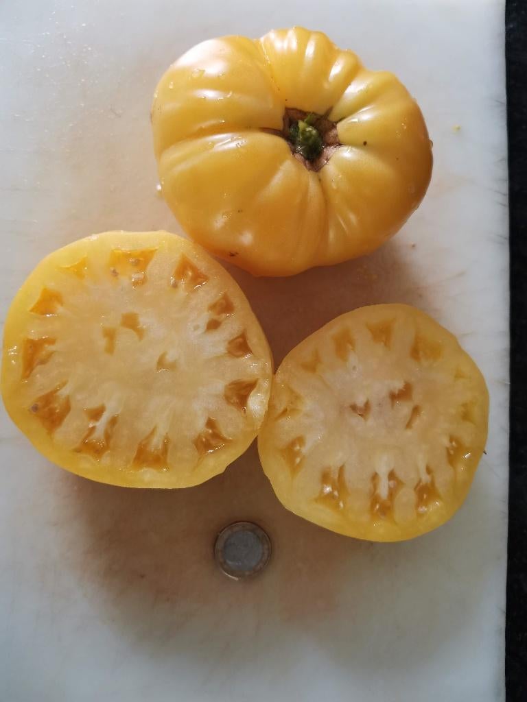 Coeur de boeuf tomaat Lemon Oxheart - 5 zaden, Verzenden, Voorjaar, Volle zon, Zaad