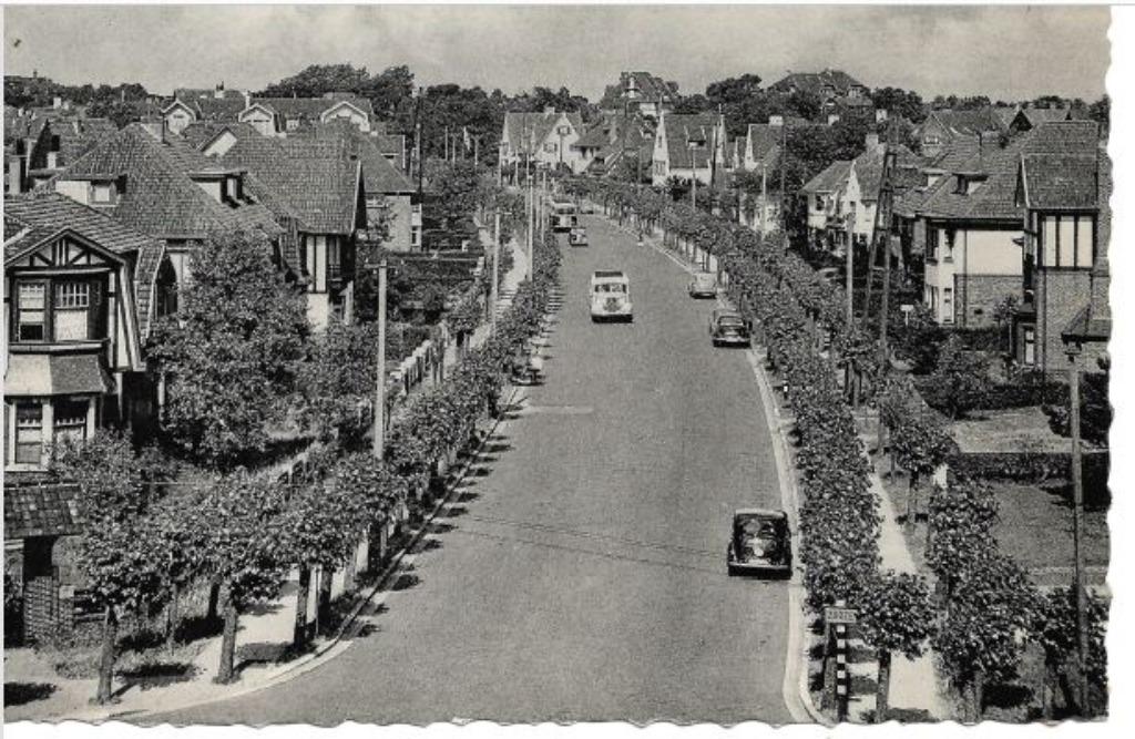 Knocke oude ansichtkaart, Ophalen of Verzenden, 1940 tot 1960, Gelopen, West-Vlaanderen