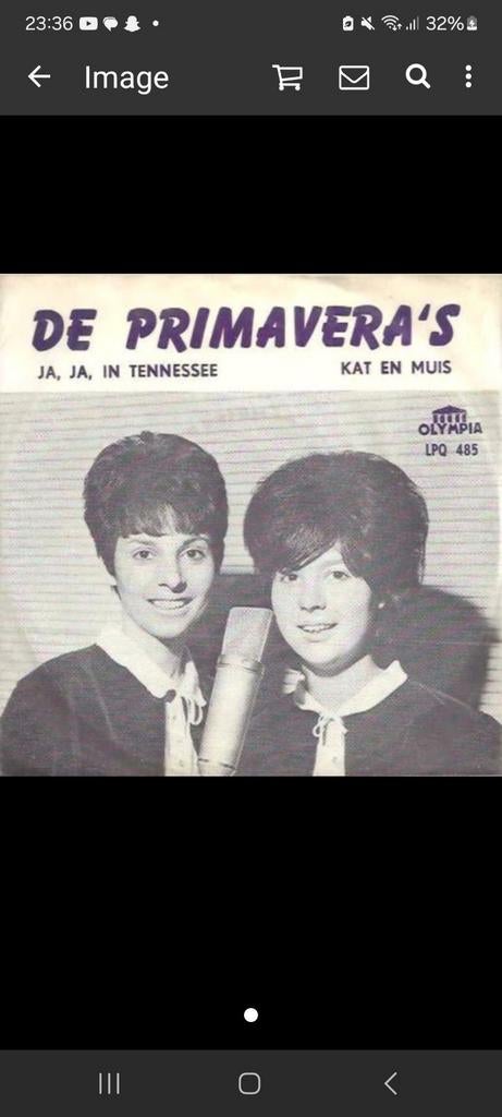 Gezocht!!!, Cd's en Dvd's, Vinyl Singles, Ophalen of Verzenden