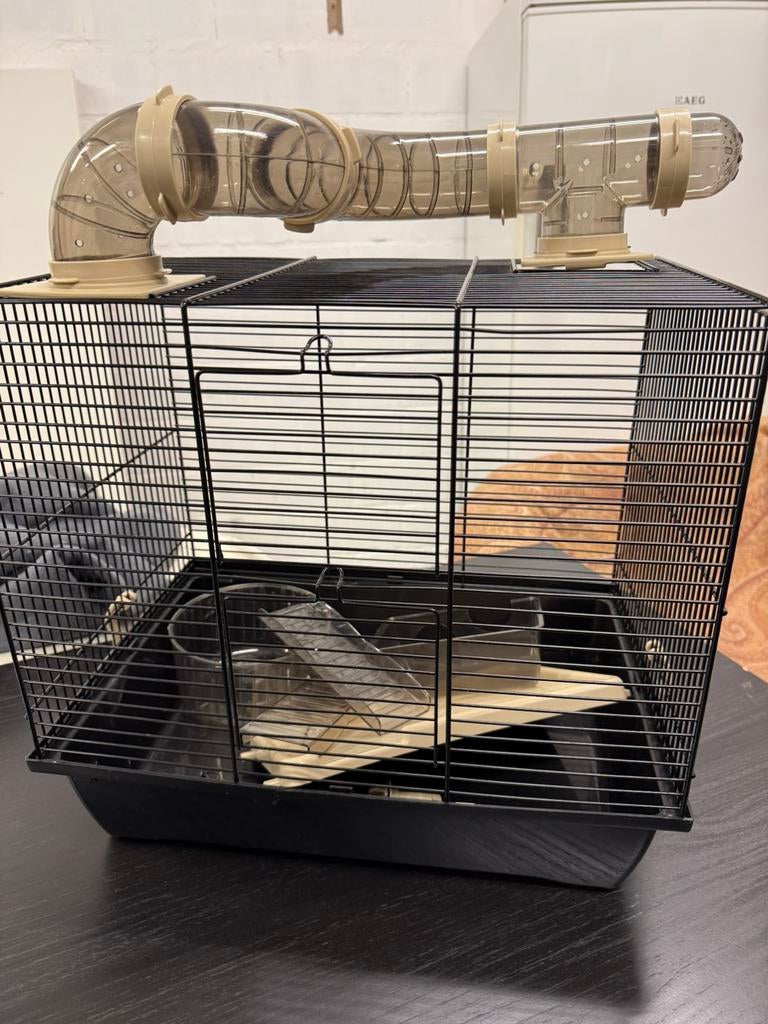 Ruime hamsterkooi met toebehoren, Ophalen, Gebruikt, Kooi