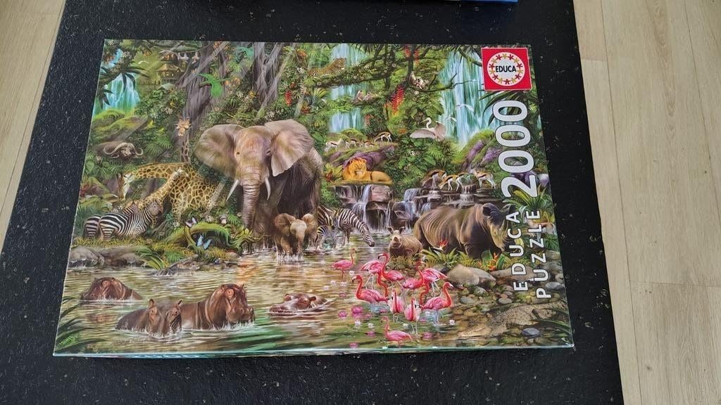 Educa Borras 16013 puzzel 2000 stukjes, Ophalen