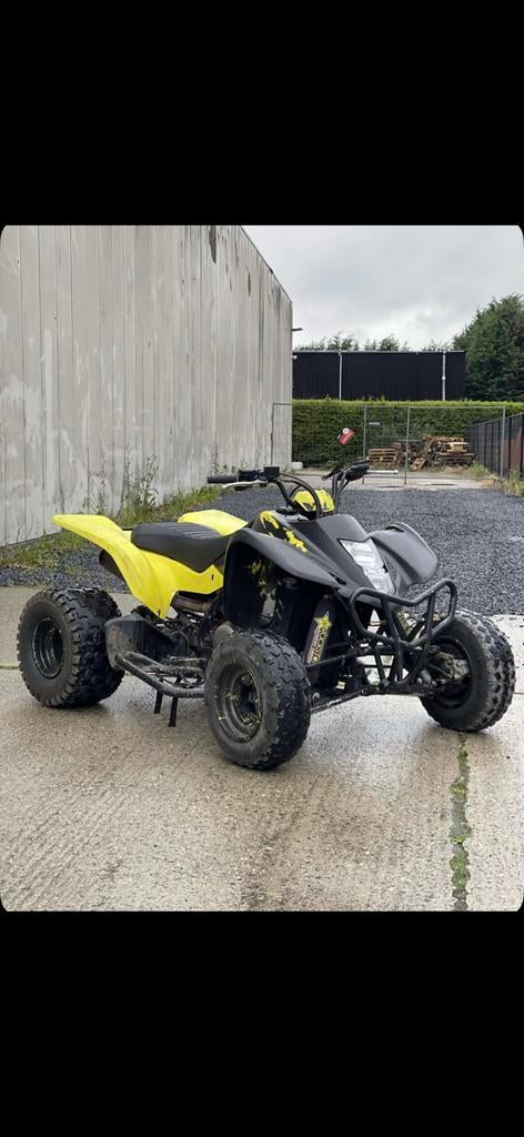 Suzuki ltz400, Motoren