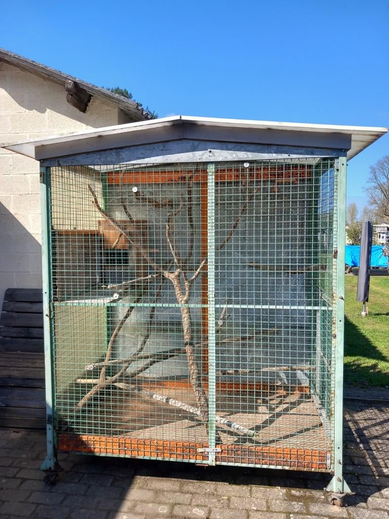 Te koop buitenvoliere, Ophalen