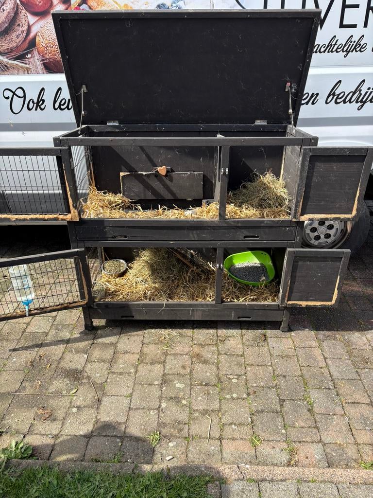 Konijnen met hok en ren, Dieren en Toebehoren, Ophalen, Gebruikt, Overige typen