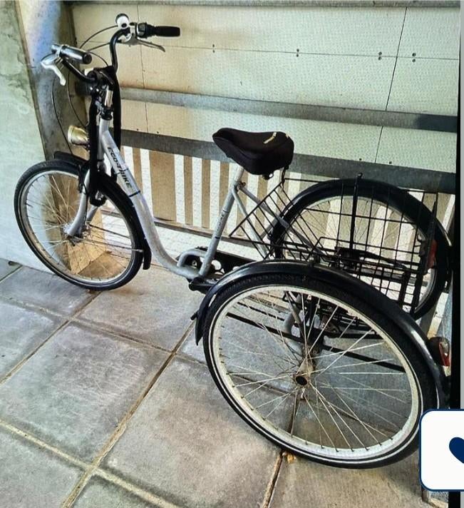 Driewieler fiets, Fietsen en Brommers, Fietsen | Driewielfietsen, Ophalen