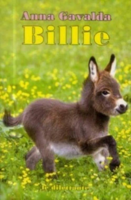 boek: Billie/ Anna Gavalda (FRANSTALIG), Boeken, Taal | Frans, Zo goed als nieuw, Fictie, Ophalen of Verzenden