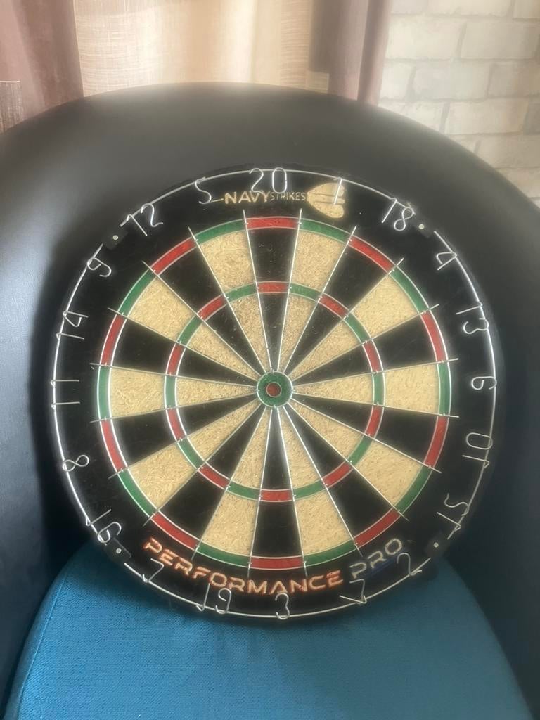 Dartsbord te koop, Ophalen, Gebruikt, Dartbord