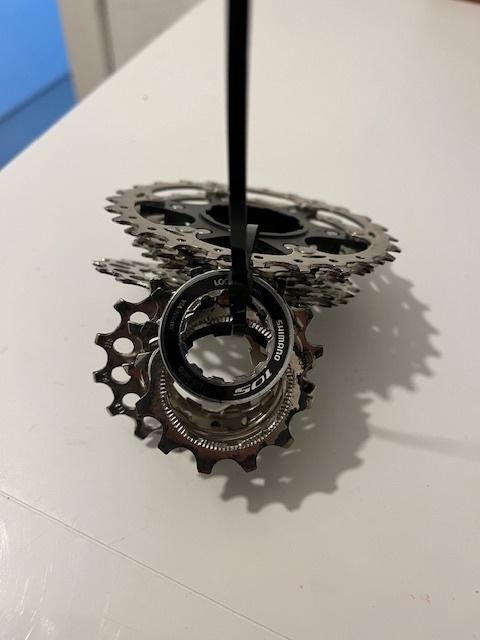 buitenband race, Ophalen of Verzenden, Nieuw, Band