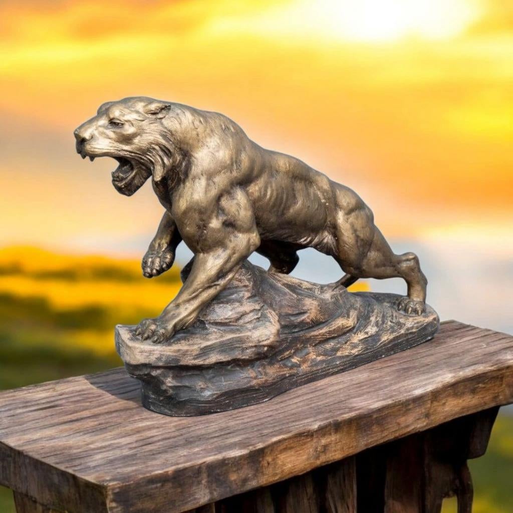 Panter op rots, Ophalen