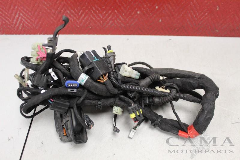 KABELBOOM Ducati Monster 1100 (01-2008/12-2010), Dhr. S. di Majo, Gebruikt, Info@cama-motorparts.nl, P.J. Troelstraweg 8 8
3144 CX  MAASSLUIS, NL