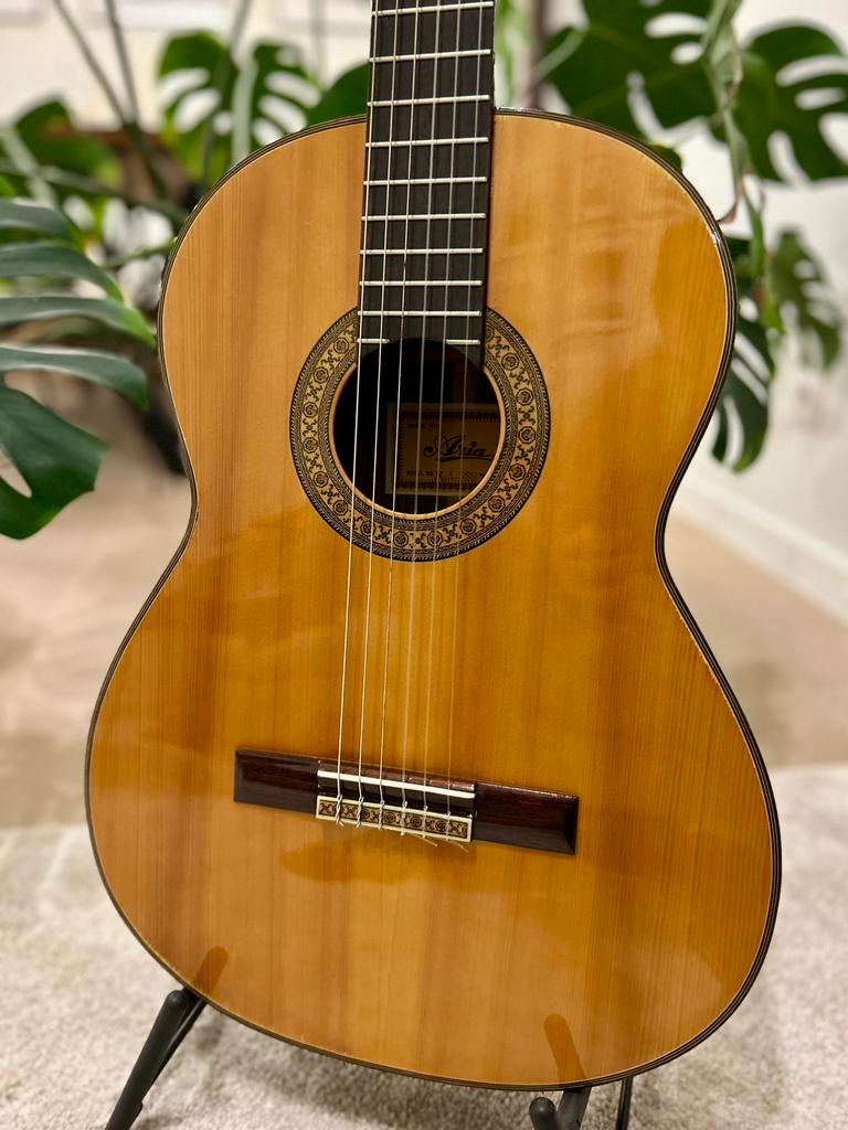 Aria A588 Klassieke gitaar inclusief koffer, Muziek en Instrumenten, Ophalen, Zo goed als nieuw