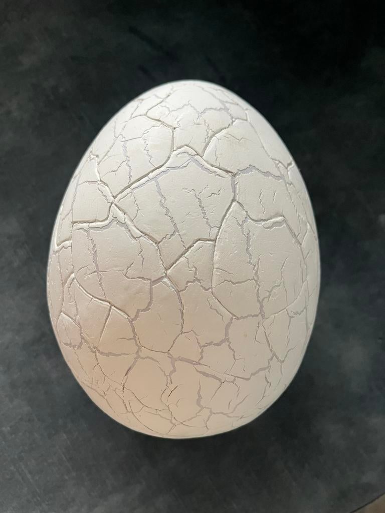 Groot ei, Ophalen of Verzenden, Zo goed als nieuw