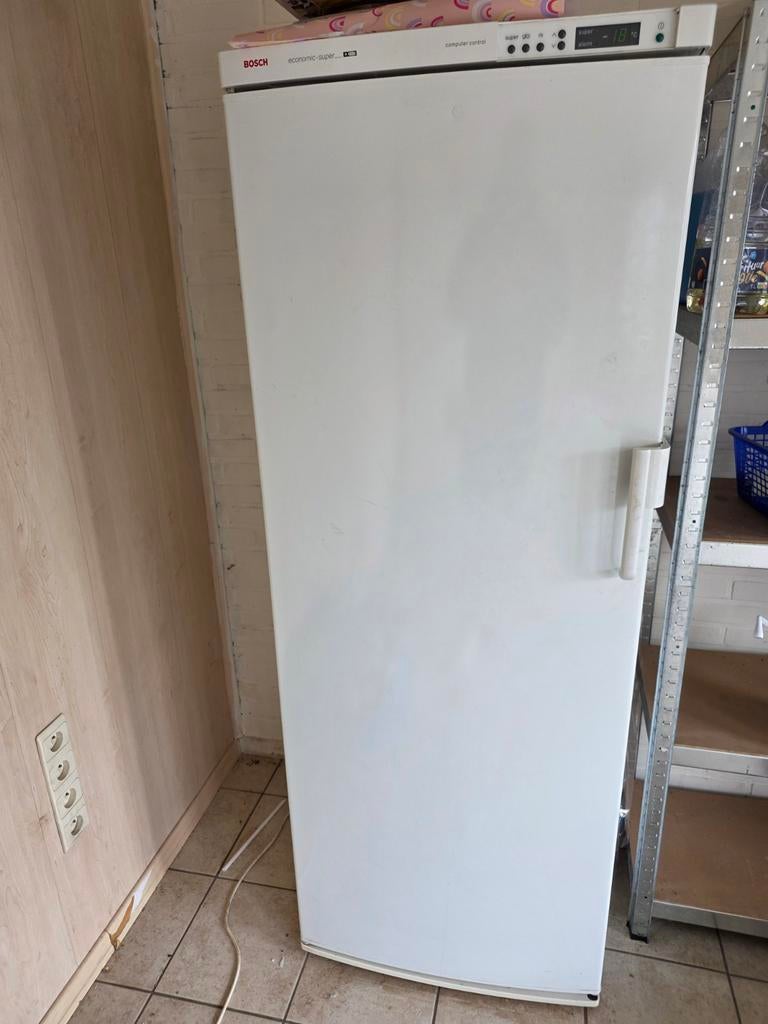 Bosch diepvries, Electroménager, Congélateurs, Enlèvement