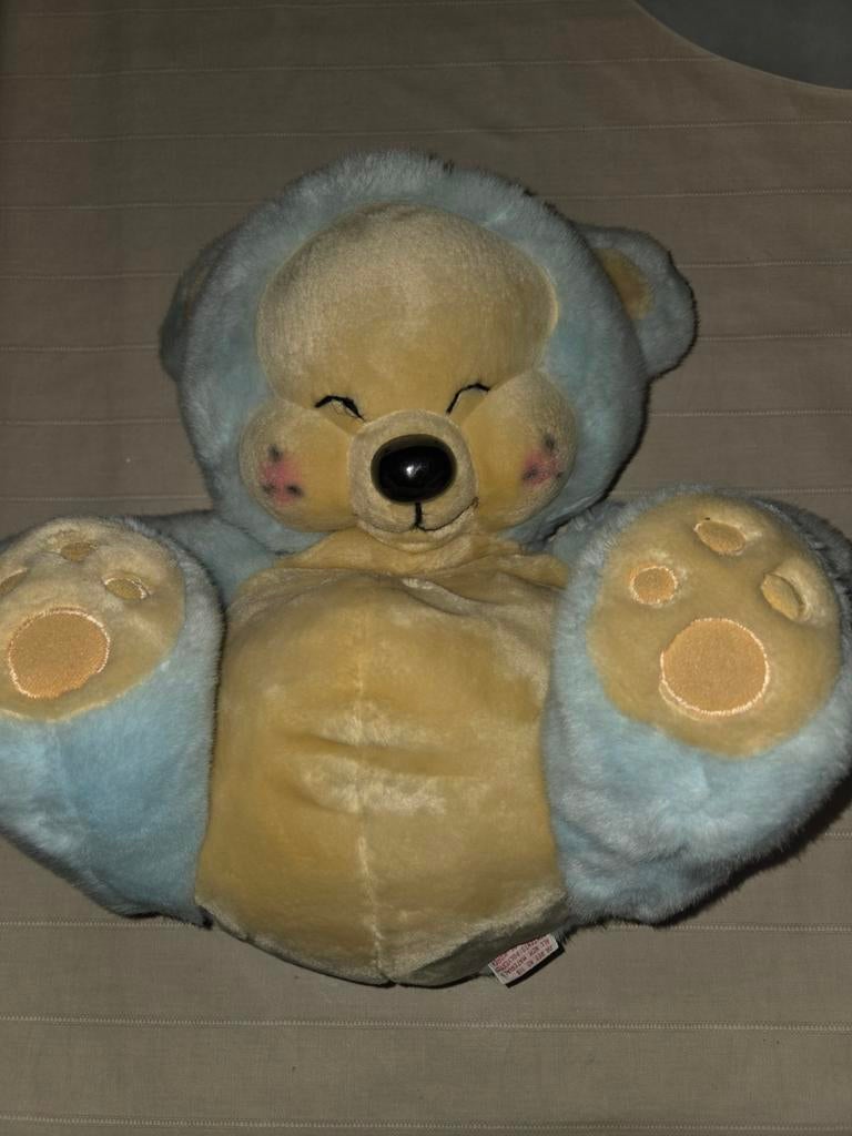 Ours en peluche Dakin, Enlèvement