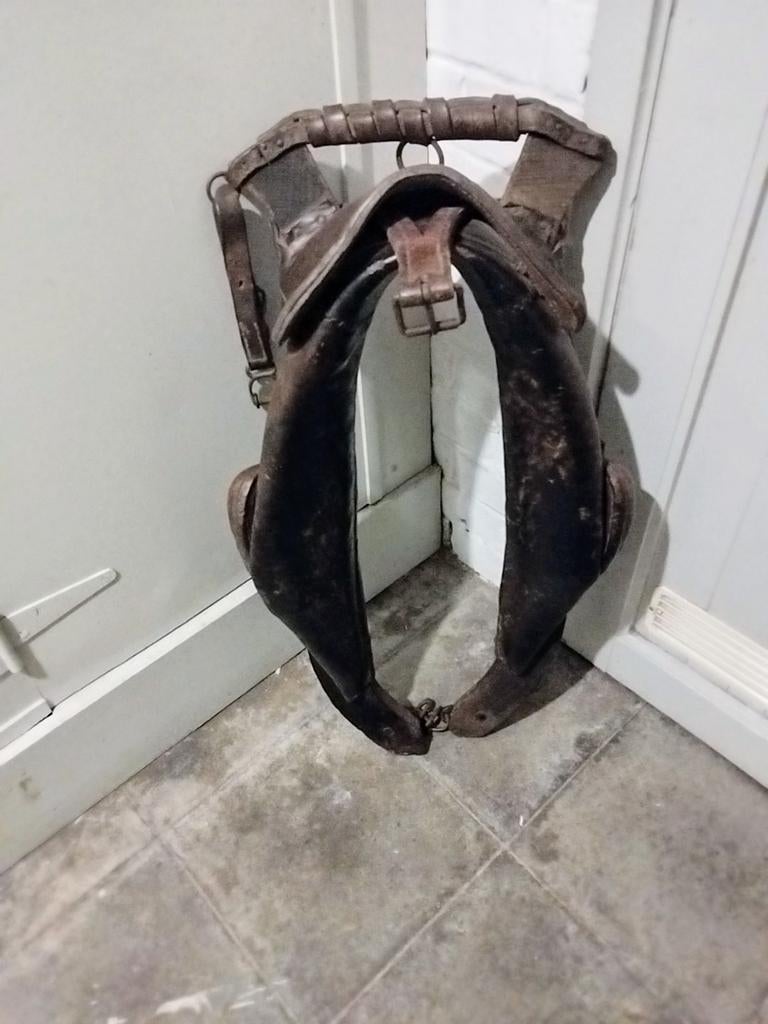 Harnais en cuir et bois, Animaux & Accessoires, Enlèvement, Utilisé