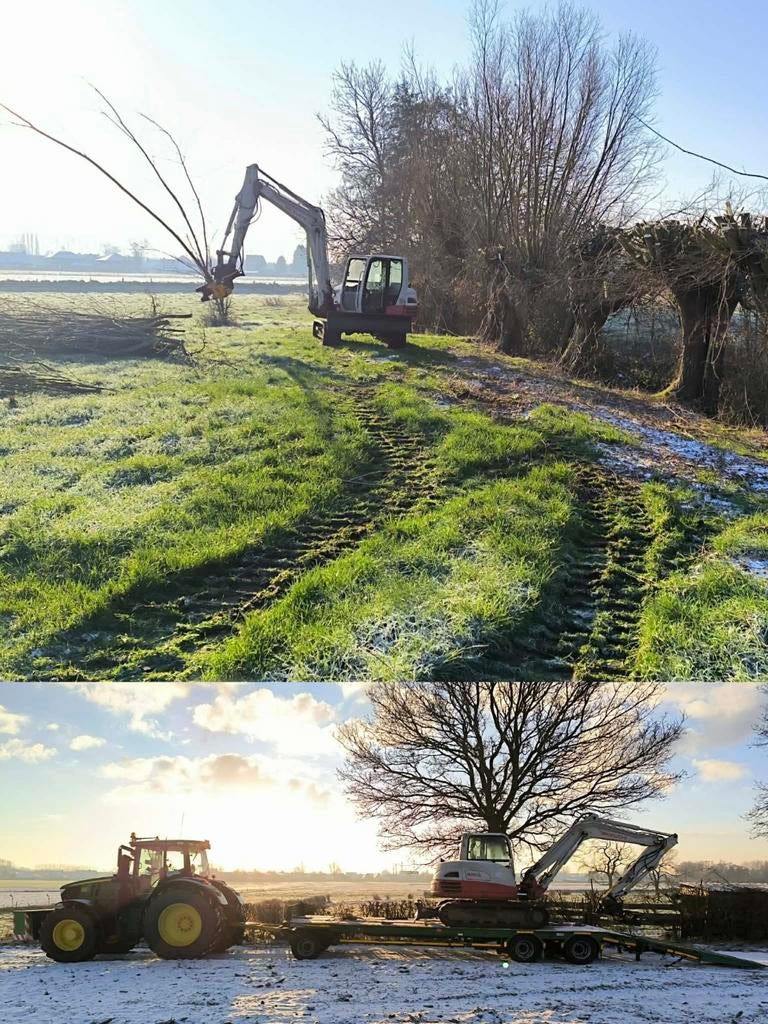 Knotwilgen snoeien, Tuin en Terras, Ophalen