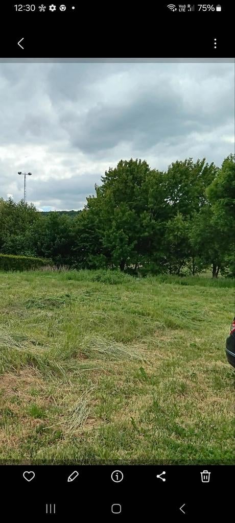 Terrain a batir, Animaux & Accessoires, Box & Pâturages