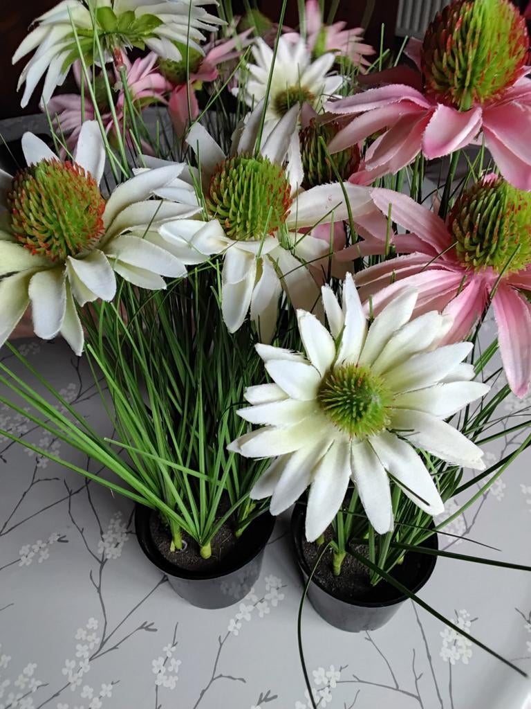 3 Mooie namaakplantjes, Ophalen