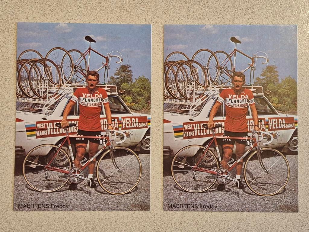 Set wielerkaarten Team Flandria Freddy Maertens 1976, Ophalen of Verzenden, Zo goed als nieuw