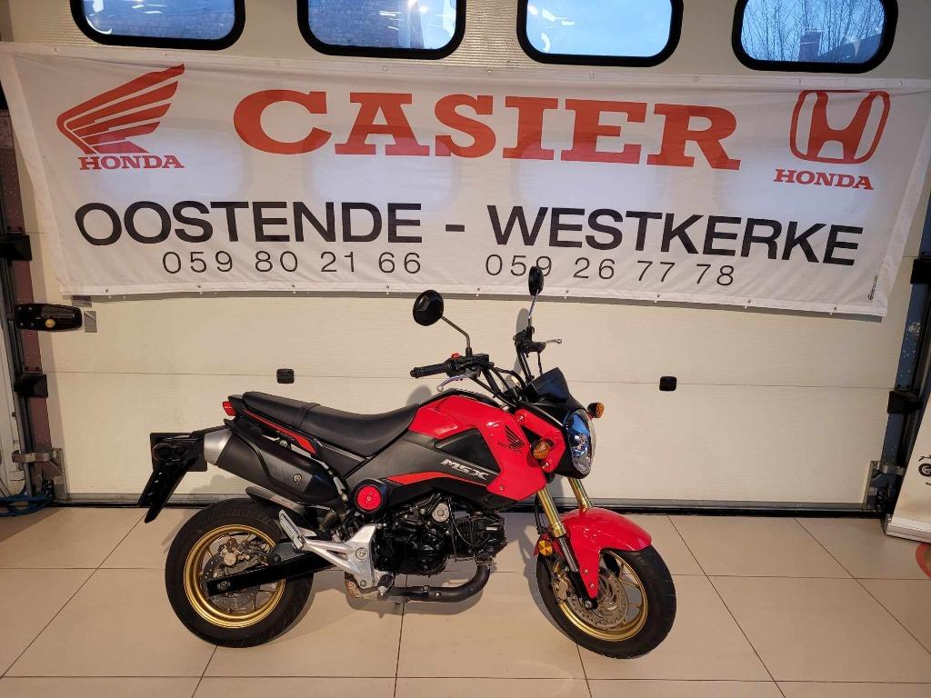 Honda MSX 125, Motos, Motos | Honda, Entreprise, 1 cylindre, Naked bike, 125 cm³