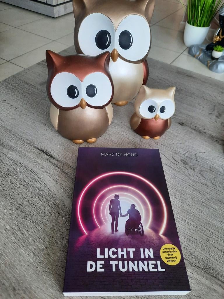 Marc de Hond - Licht in de tunnel, Ophalen of Verzenden, Nieuw, Marc de Hond