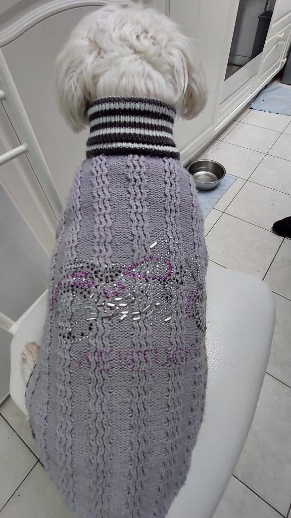 pull pour chien à vendre pour petits chiens, Animaux & Accessoires, Vêtements pour chiens, Enlèvement, Comme neuf, Pull pour chien