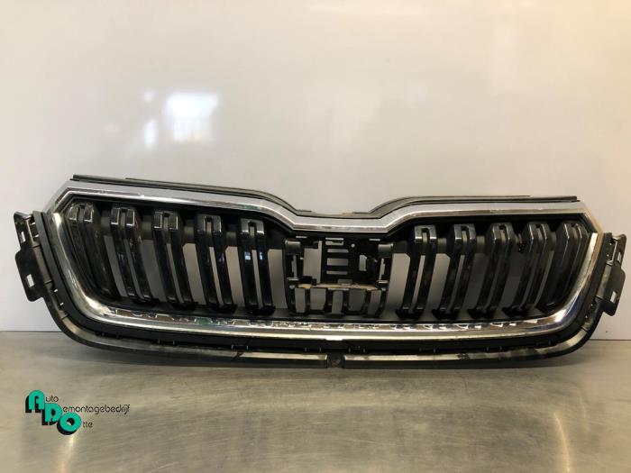Calandre d'un Skoda Kamiq (Kamiq 19-), Autos : Pièces & Accessoires, -, 3 mois de garantie, Utilisé, Skoda