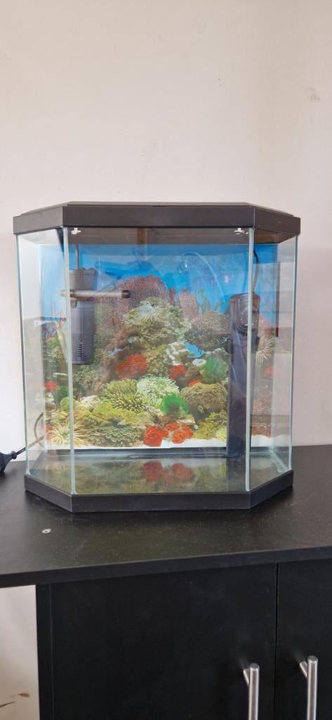 starters aquarium, Animaux & Accessoires, Enlèvement, Chauffage, Filter