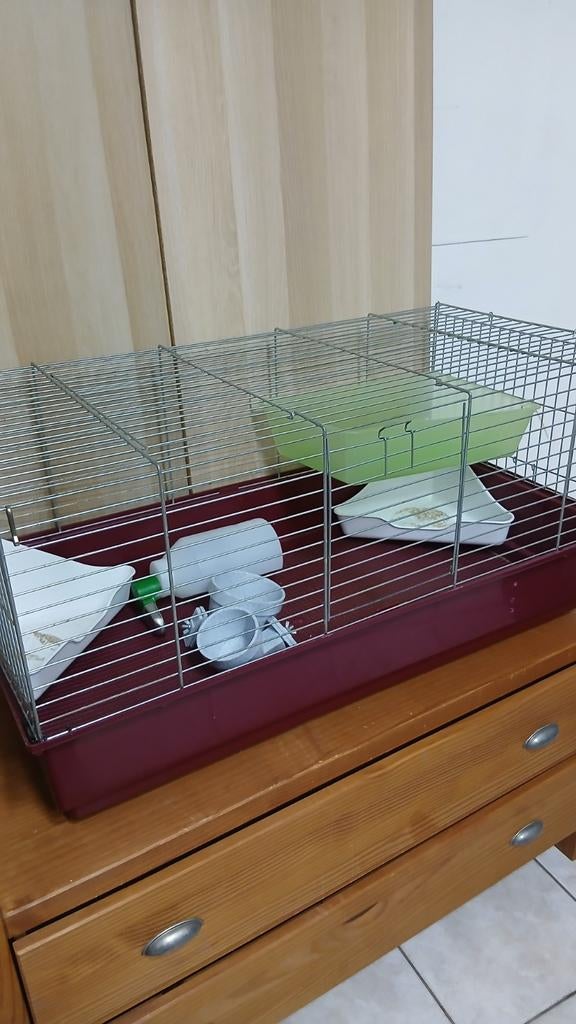 Grote konijnenkooi voor hamsters met accessoires, Dieren en Toebehoren, Ophalen, Kooi, Konijn