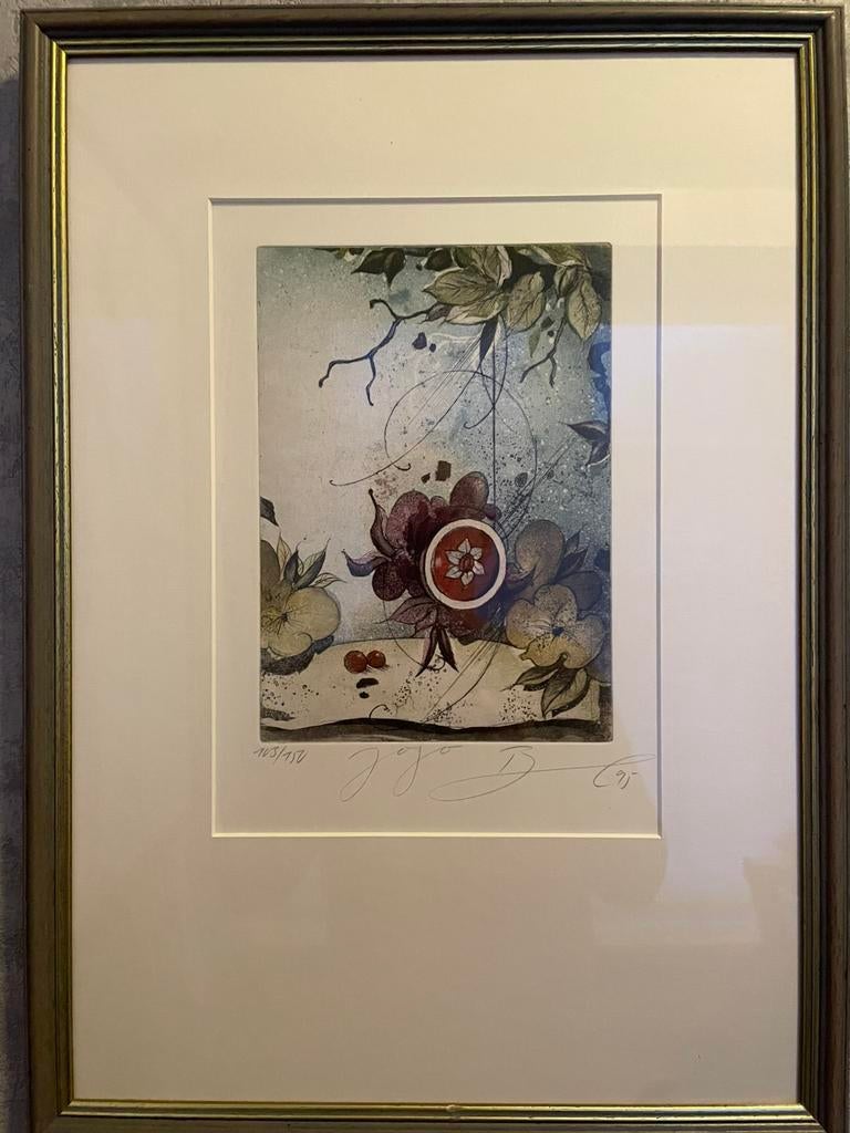 2 Mooie kleur etsen van Rüdiger Brassel, gesigneerd, Antiek en Kunst, Kunst | Litho's en Zeefdrukken, Ophalen
