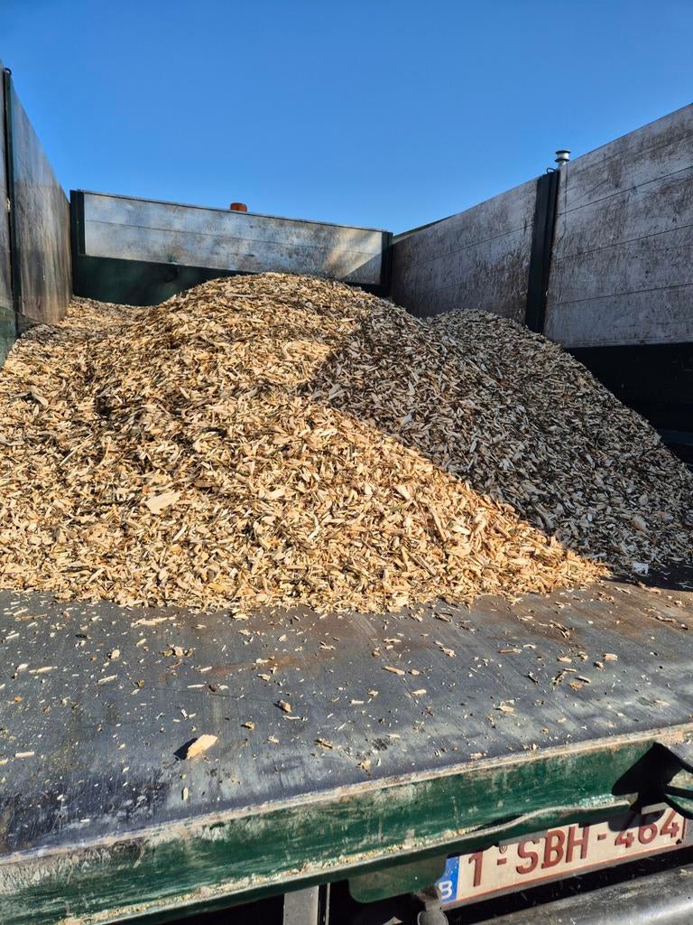 Mooi hakselhout, Enlèvement